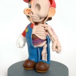 Mario_Anatomy_Sculpt