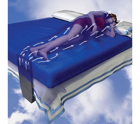bedfan_1.jpg