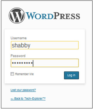 wordpress setup guide